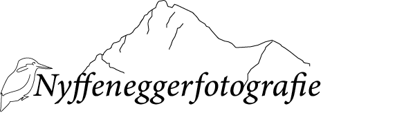 Nyffeneggerfotografie