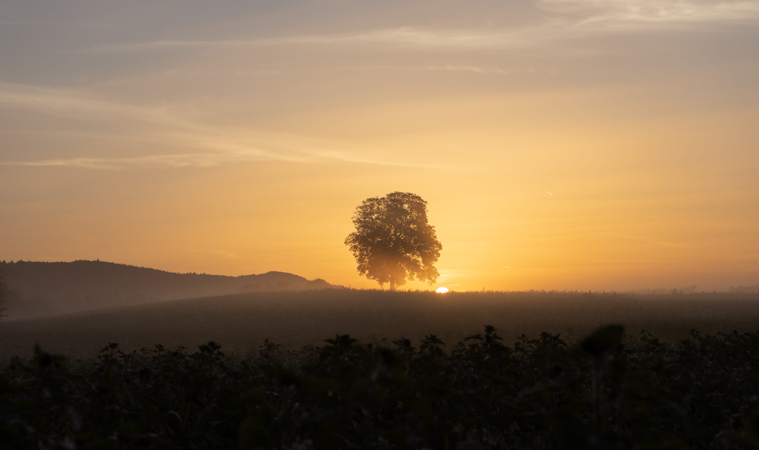 Sonnenaufgang